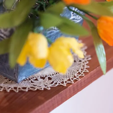 Antique House Nona Nika 펜션 코미자